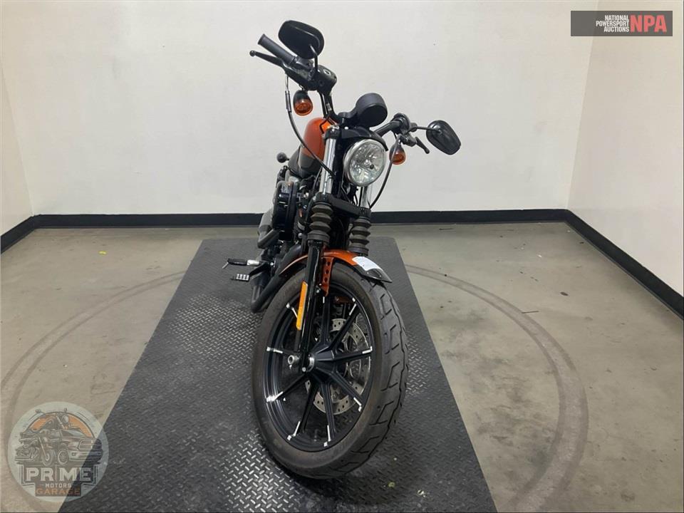 2020 Harley-Davidson XL883N IRON — фото 2