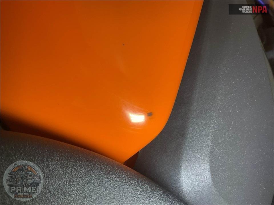 2021 Harley-Davidson RA1250S PAN AMERICA SPECIAL — фото 15