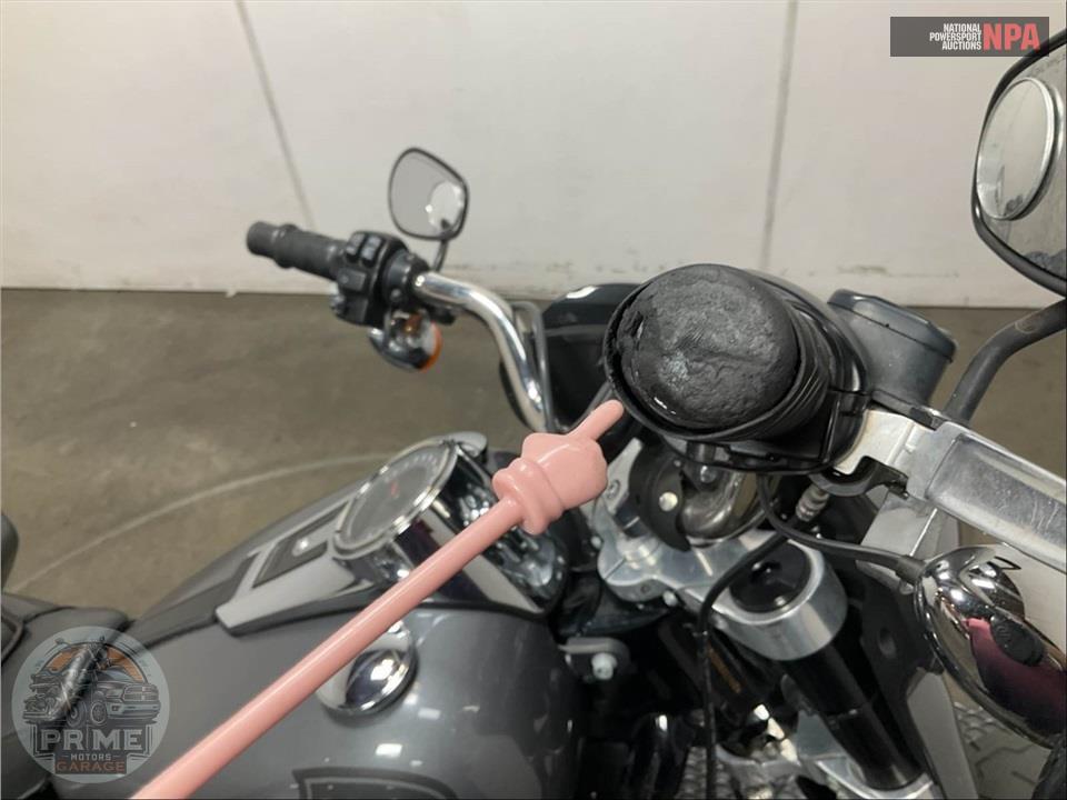 2021 Harley-Davidson FLSB SPORT GLIDE — фото 25