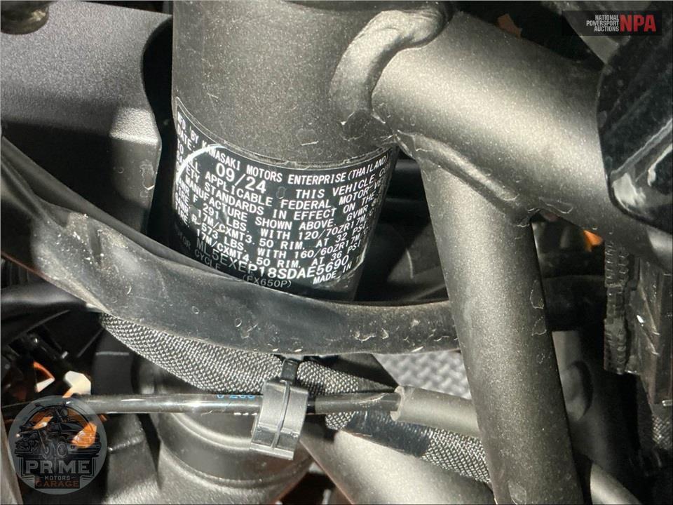 2025 Kawasaki EX650PSFAL NINJA 650 ABS — фото 19