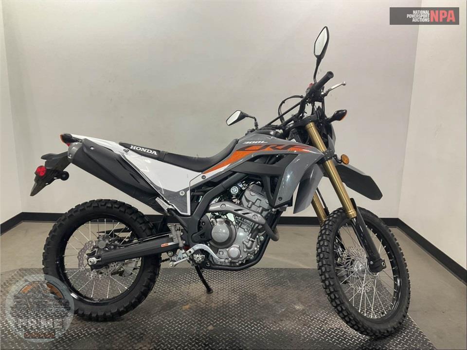 2024 Honda CRF300LS — фото 1
