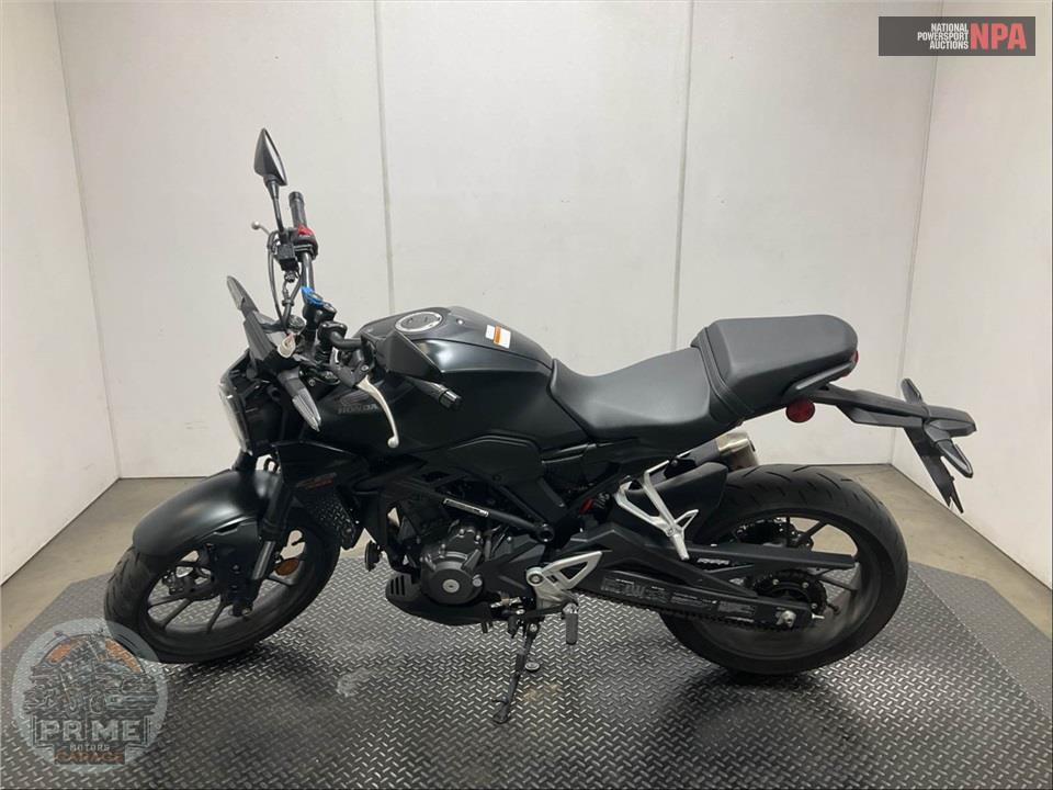 2025 Honda CBF300R (ABS) — фото 3
