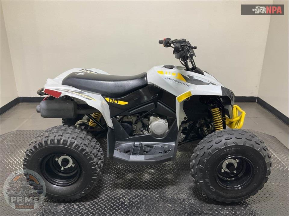 2025 Can-Am RENEGADE 110 EFI — фото 1