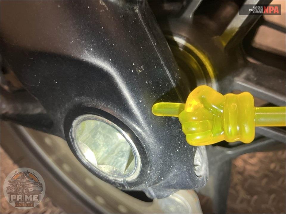 2022 Harley-Davidson RA1250S PAN AMERICA 1250 SPECIAL — фото 27