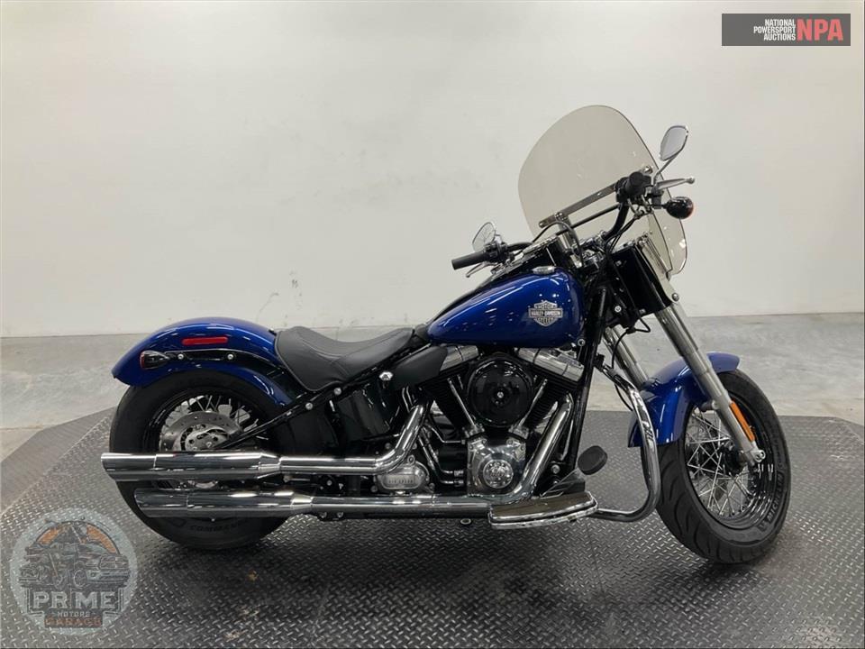 2015 Harley-Davidson FLS SOFTAIL SLIM — фото 1
