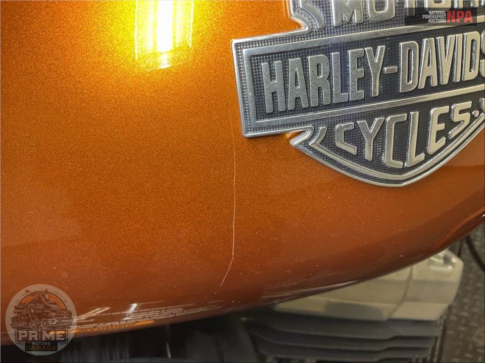 2015 Harley-Davidson FLS SOFTAIL SLIM — фото 22