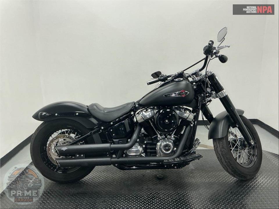 2020 Harley-Davidson FLSL SOFTAIL SLIM — фото 1