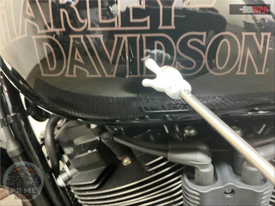 2023 Harley-Davidson FXLRS LOW RIDER S — фото 19
