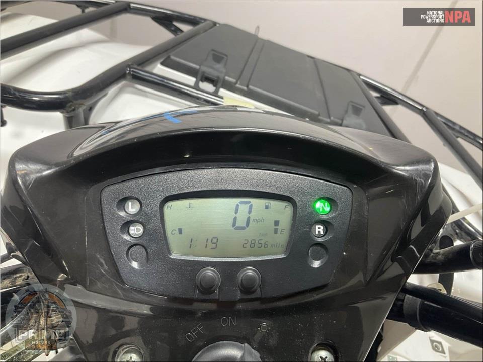 2021 Kawasaki KVF300CMFNN BRUTEFORCE — фото 5
