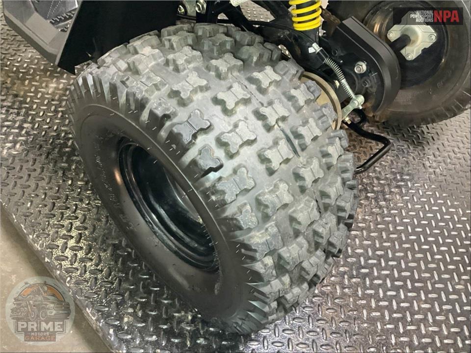 2025 Can-Am RENEGADE 110 EFI — фото 31