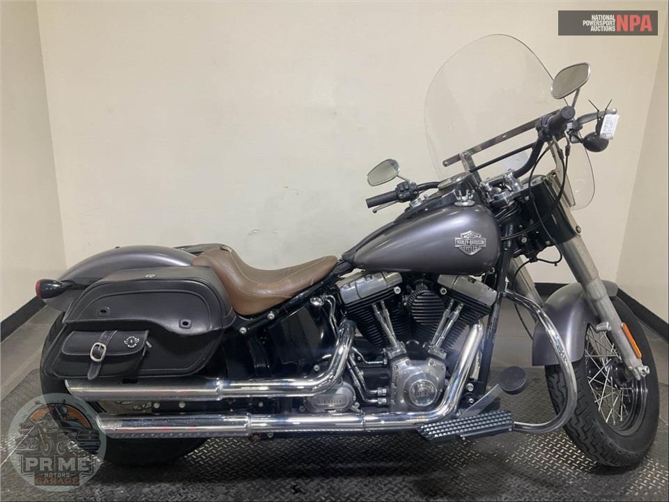 2014 Harley-Davidson FLS SOFTAIL SLIM — фото 1