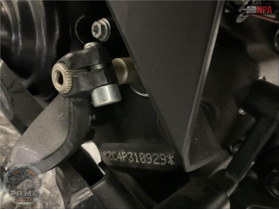 2023 Harley-Davidson RH1250S SPORTSTER S — фото 17