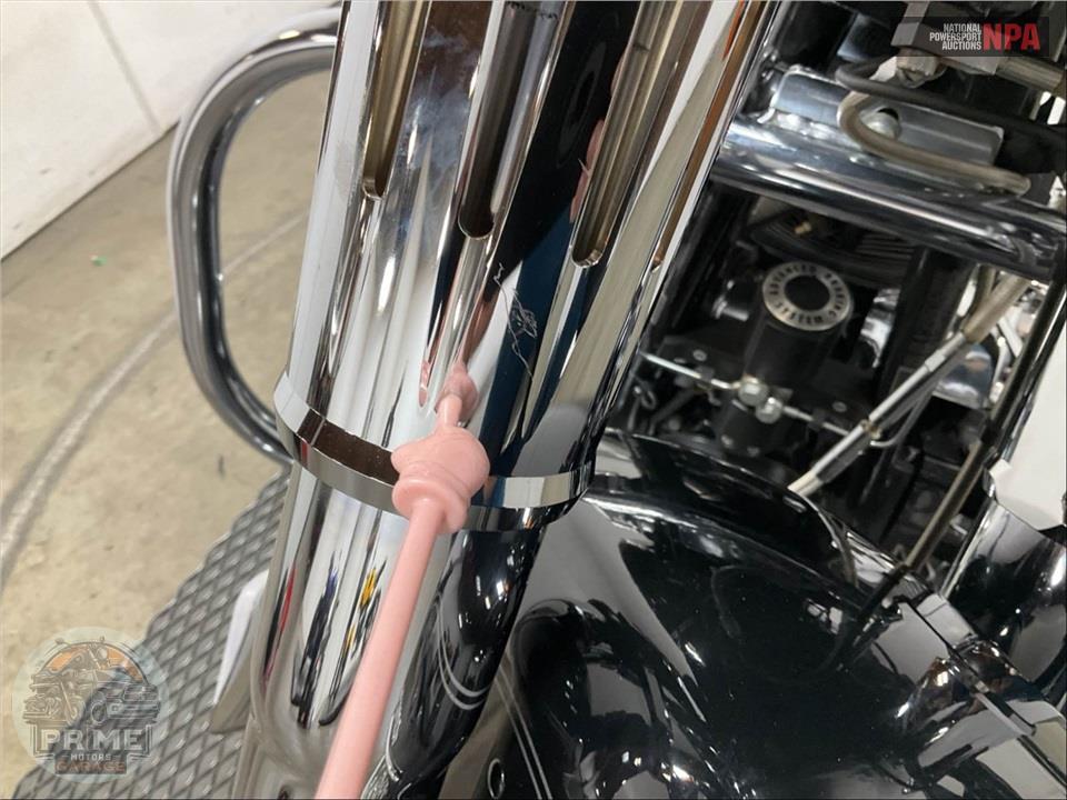2017 Harley-Davidson FLSTN SOFTAIL DELUXE — фото 19