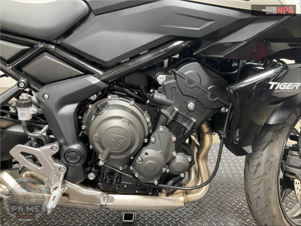 2025 Triumph TIGER SPORT 660 — фото 6