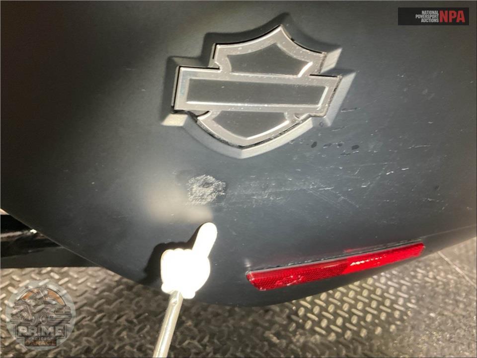 2020 Harley-Davidson FLSB SPORT GLIDE — фото 25