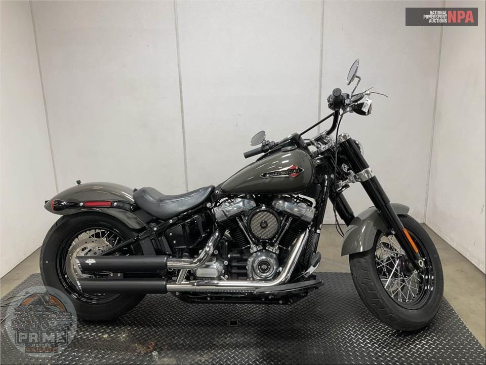 2019 Harley-Davidson FLSL SOFTAIL SLIM — фото 1