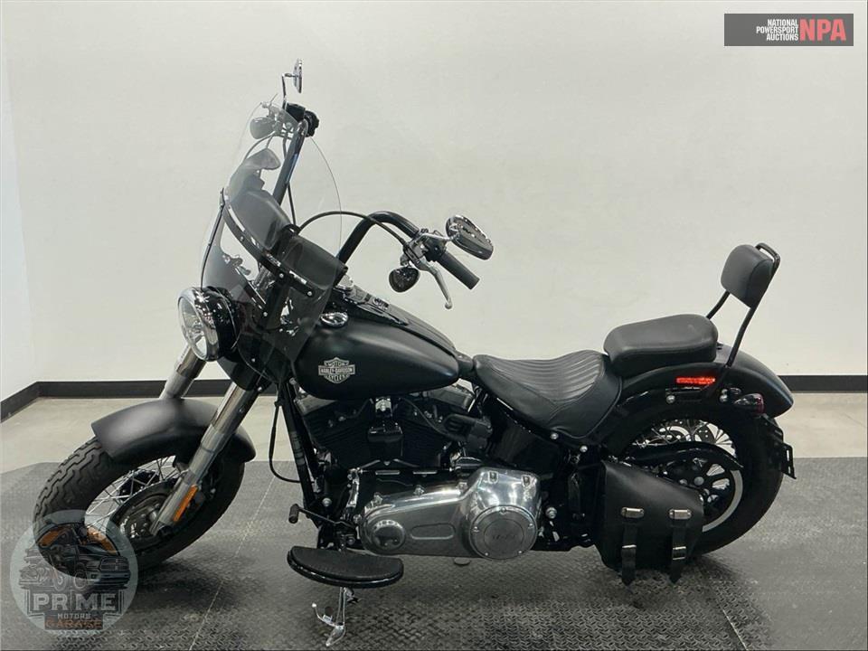 2013 Harley-Davidson FLS SOFTAIL SLIM — фото 3