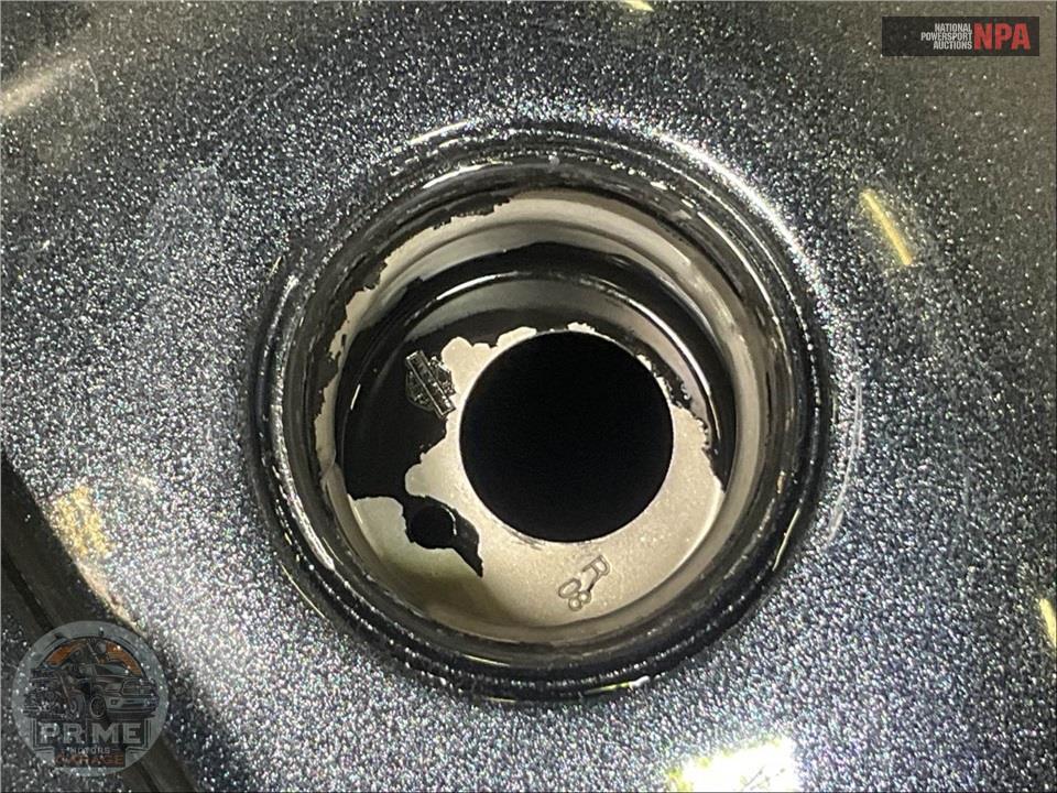 2015 Harley-Davidson FLSTN SOFTAIL DELUXE — фото 14