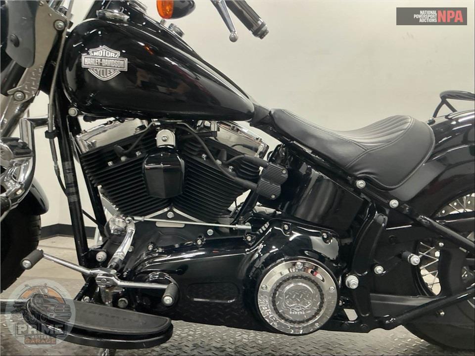 2014 Harley-Davidson FLS SOFTAIL SLIM — фото 7