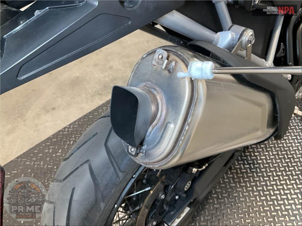 2022 Triumph TIGER 900 RALLY (WHITE) — фото 10