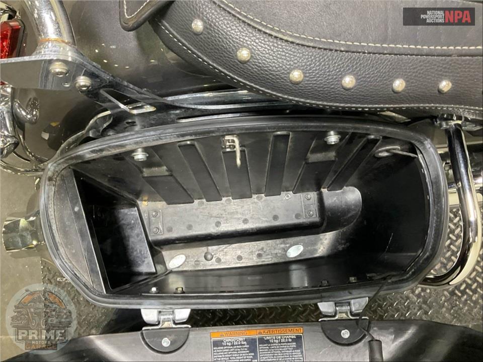 2019 Indian Motorcycle SPRINGFIELD (TWO-TONE) — фото 23