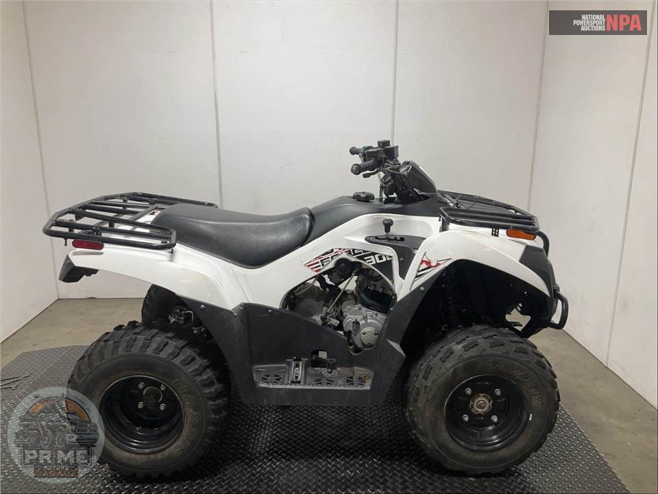 2021 Kawasaki KVF300CMFNN BRUTEFORCE — фото 1
