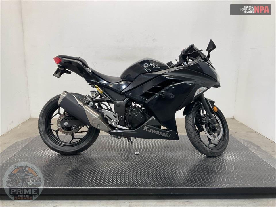 2013 Kawasaki EX300ADF NINJA 300 — фото 1