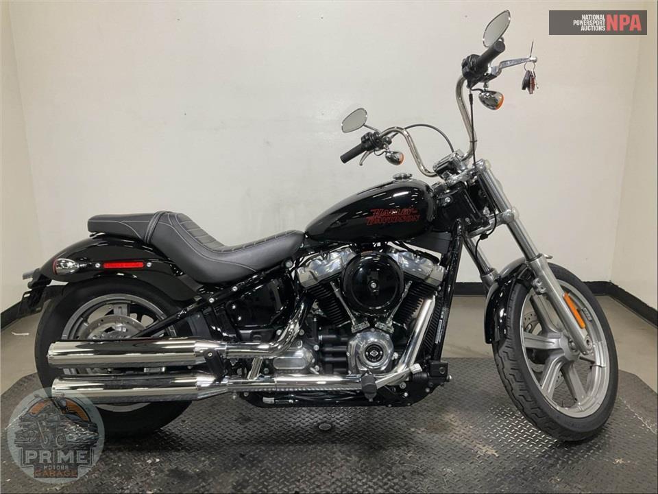 2024 Harley-Davidson FXST SOFTAIL STANDARD — фото 1