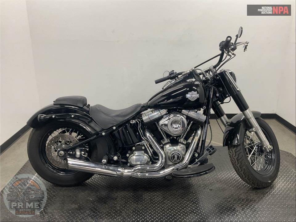 2013 Harley-Davidson FLS SOFTAIL SLIM — фото 1