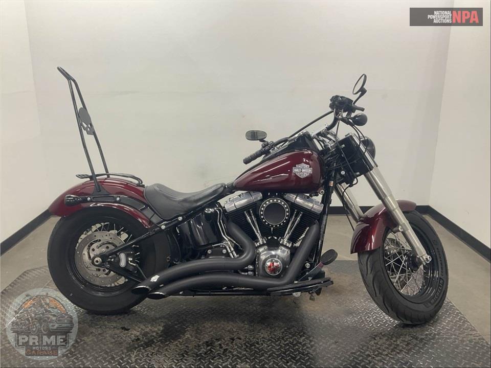 2014 Harley-Davidson FLS SOFTAIL SLIM — фото 1