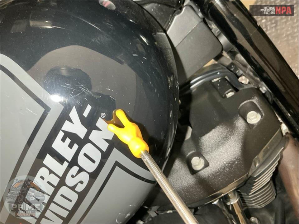 2021 Harley-Davidson FLSB SPORT GLIDE — фото 27