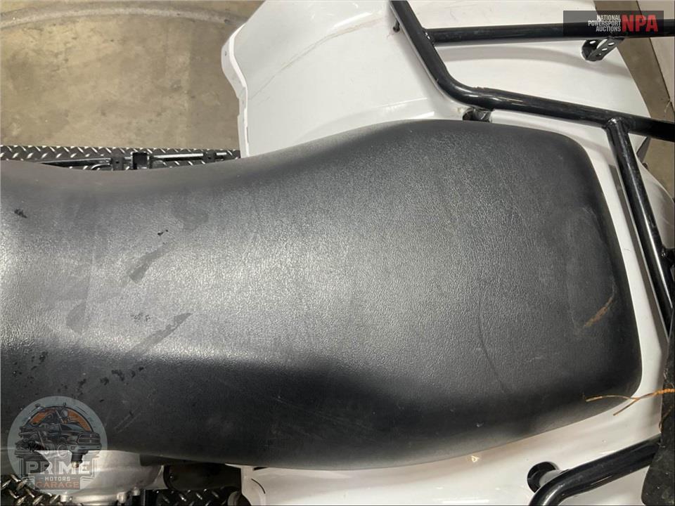 2021 Kawasaki KVF300CMFNN BRUTEFORCE — фото 20