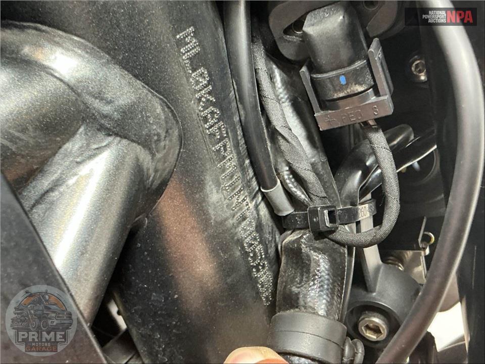 2022 Ducati SCRAMBLER 800 ICON — фото 25