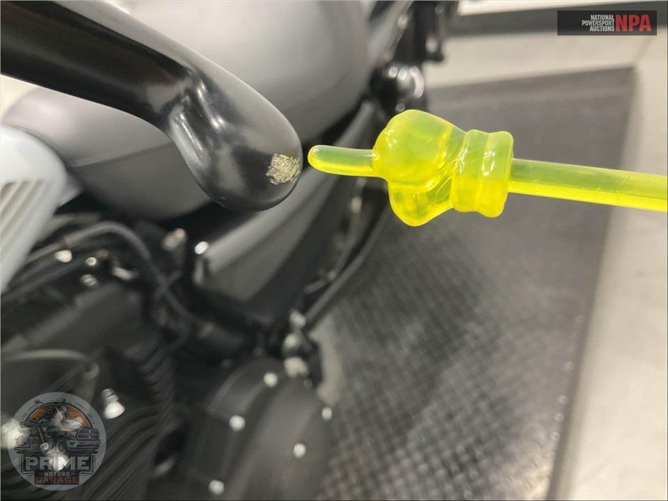 2020 Harley-Davidson XL1200NS IRON — фото 19