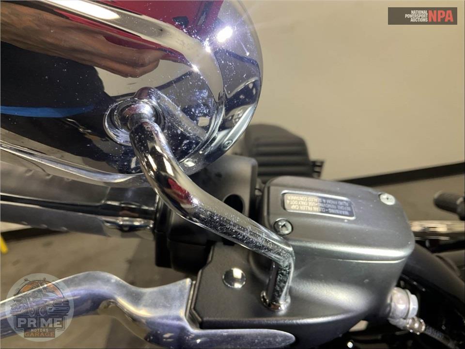 2021 Harley-Davidson FLSL SOFTAIL SLIM — фото 21