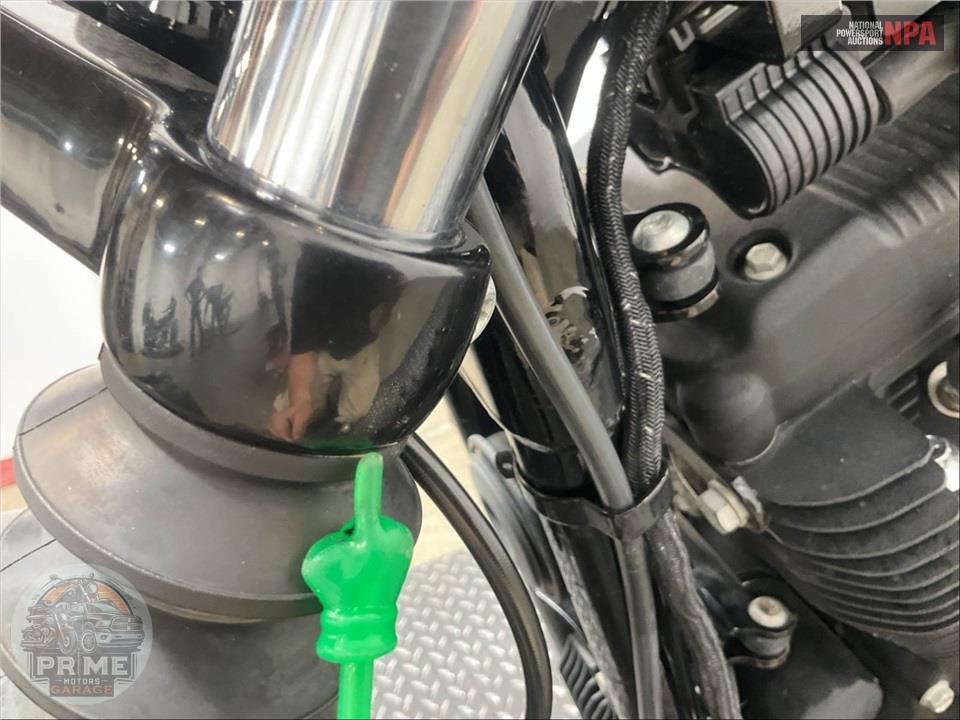 2021 Harley-Davidson XL1200NS IRON 1200 — фото 28