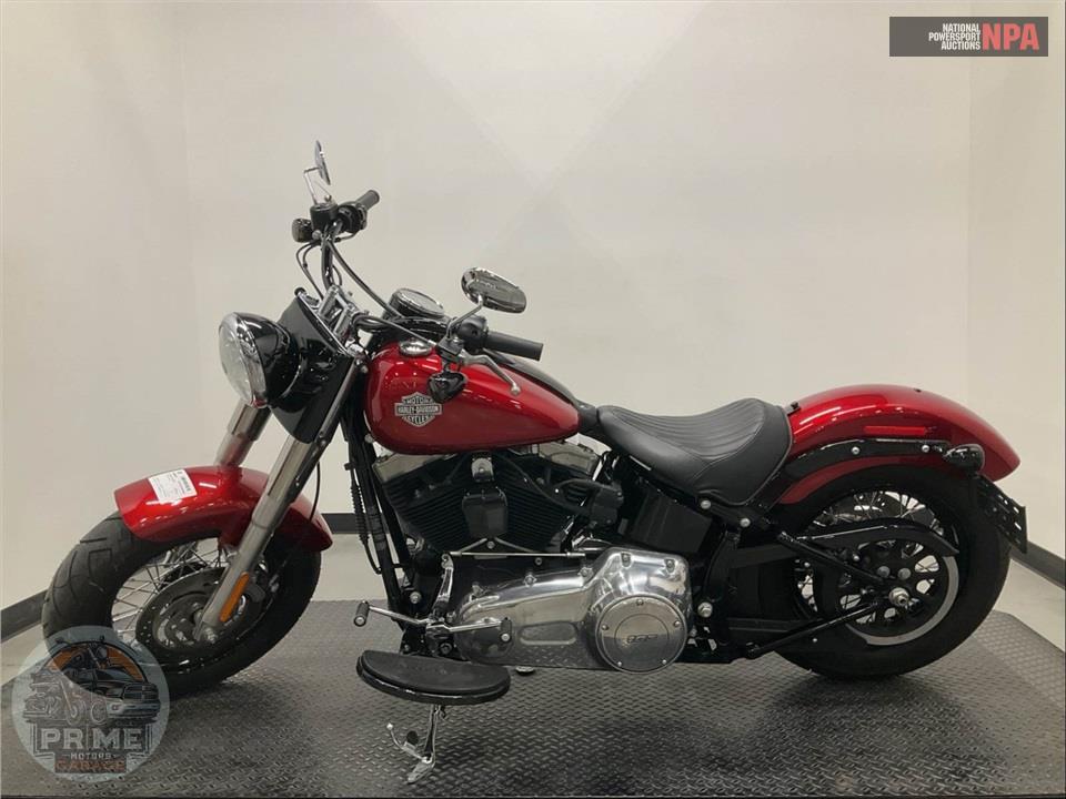 2013 Harley-Davidson FLS SOFTAIL SLIM — фото 3