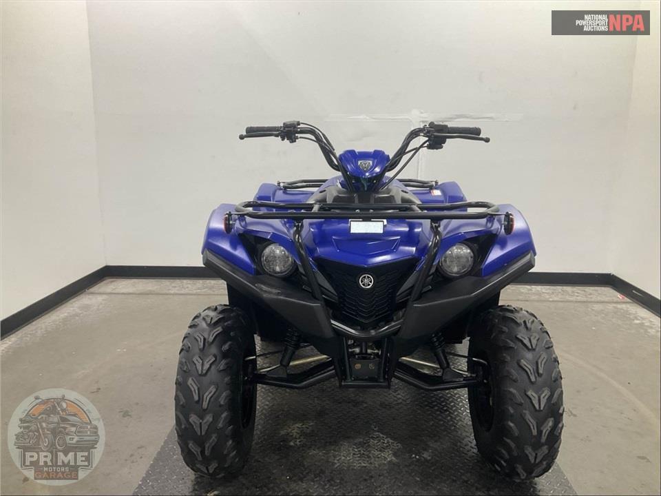 2019 Yamaha GRIZZLY 90 — фото 2