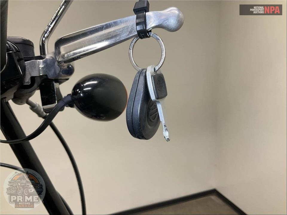 2019 Harley-Davidson FLSL SOFTAIL SLIM — фото 15
