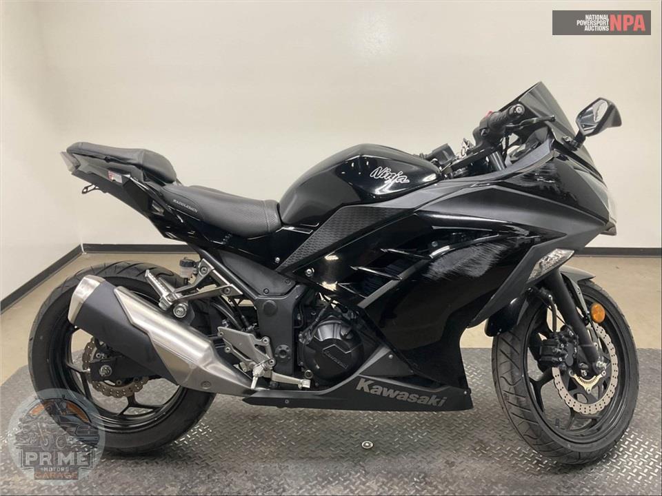 2014 Kawasaki EX300BEF NINJA 300 (ABS) SOLID — фото 1