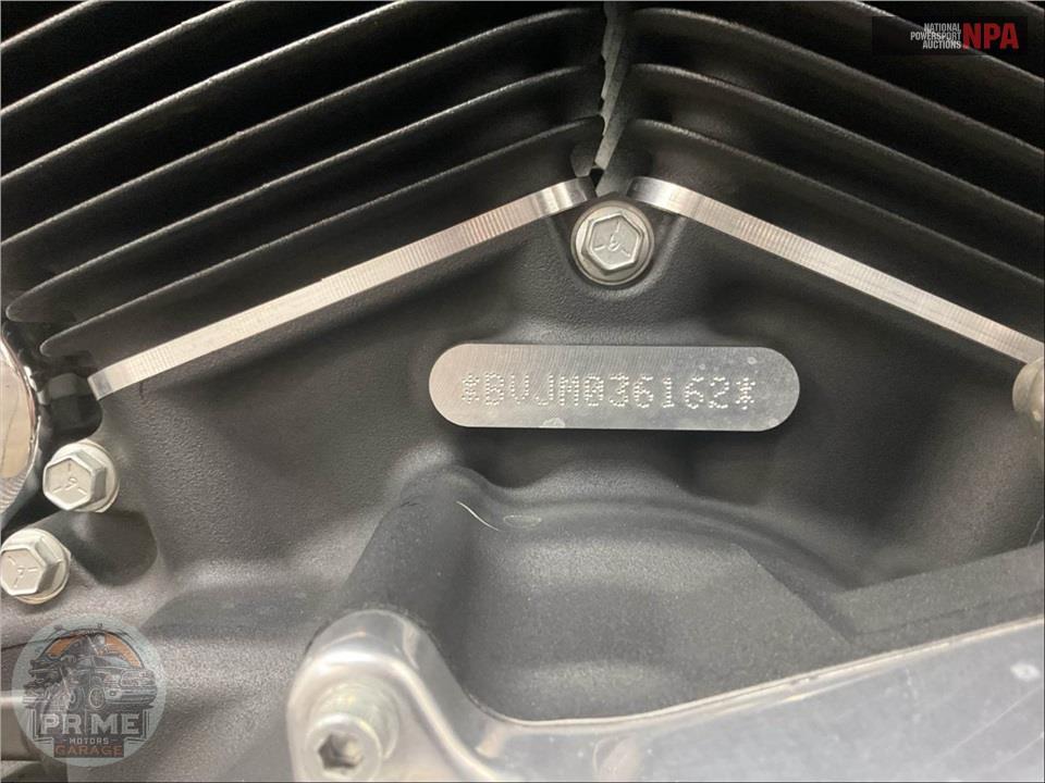2021 Harley-Davidson FXST SOFTAIL STANDARD — фото 23