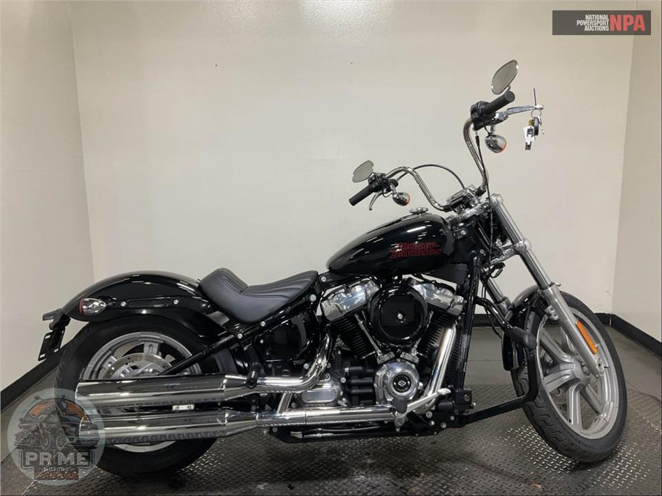 2024 Harley-Davidson FXST SOFTAIL STANDARD — фото 1