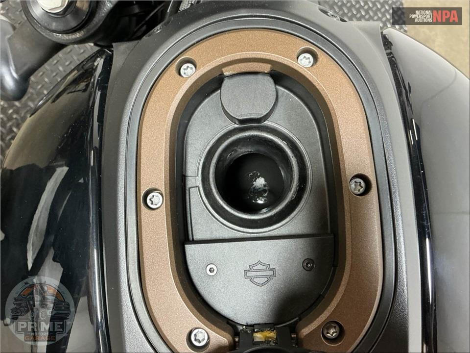 2024 Harley-Davidson RH1250S SPORTSTER S — фото 12