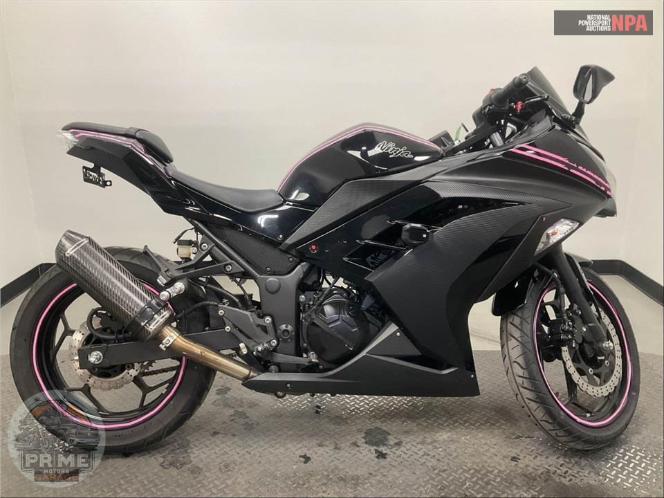 2013 Kawasaki EX300ADF NINJA 300 — фото 1