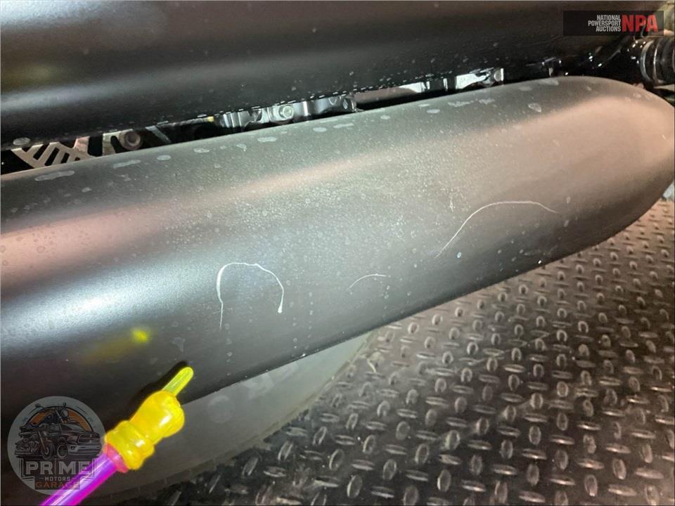 2023 Indian Motorcycle SCOUT ROGUE (ABS, COLOR) — фото 11