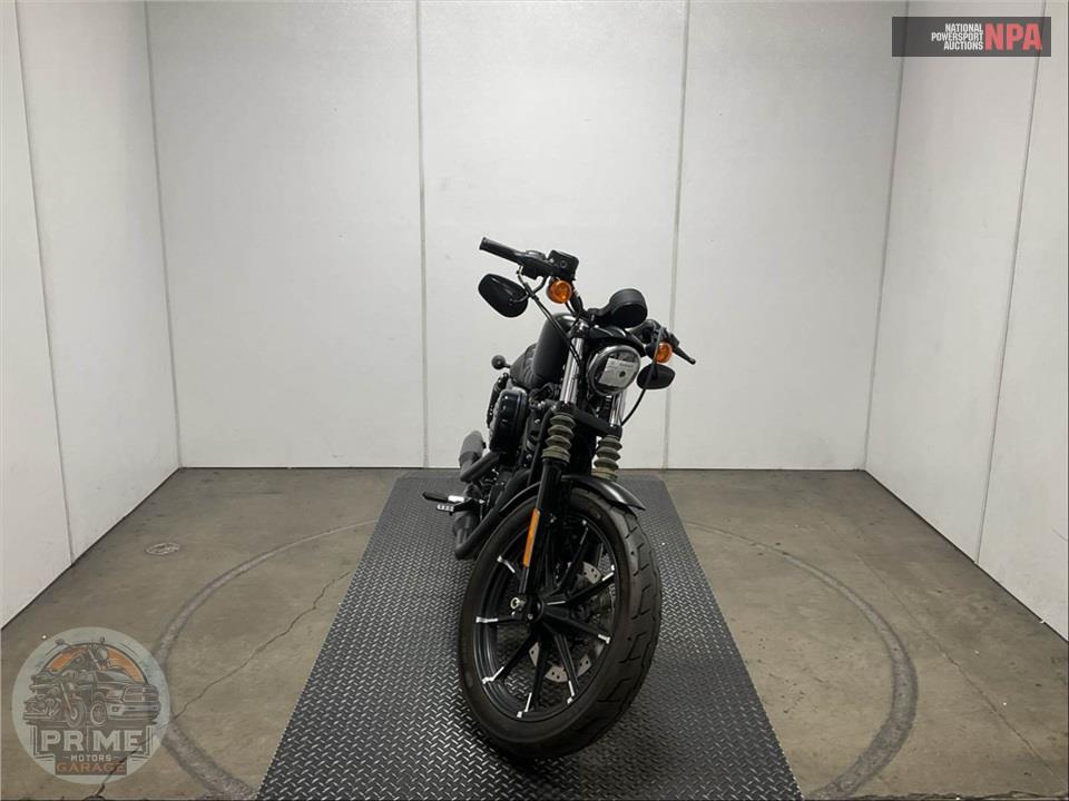 2019 Harley-Davidson XL883N IRON — фото 2