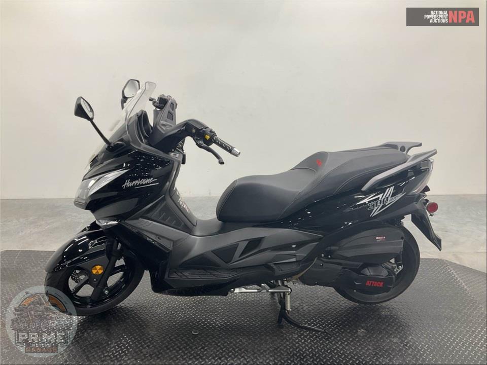 2023 Zhejiang Riya Motorcycle Co, Ltd HURRICANE 300 — фото 3