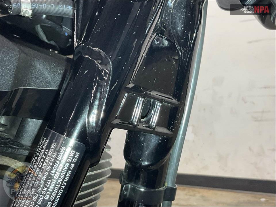 2016 Harley-Davidson FXDLS LOW RIDER S — фото 11