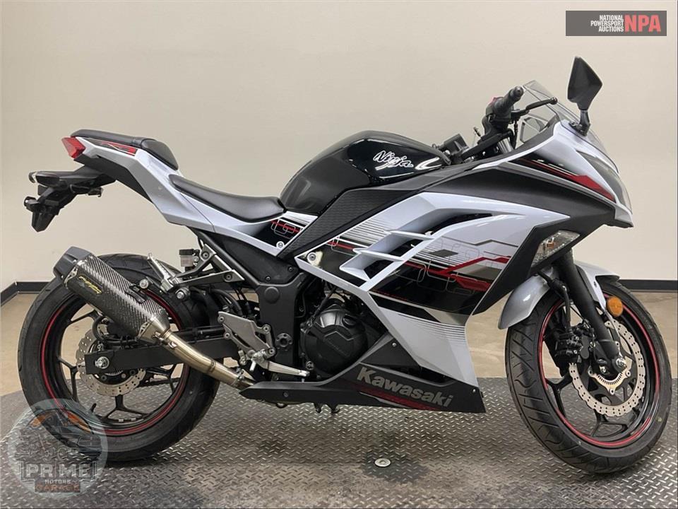 2014 Kawasaki EX300BEFA NINJA 300 (ABS) SPECIAL EDITION GRAPHICS — фото 1