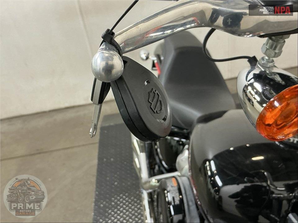 2024 Harley-Davidson FXST SOFTAIL STANDARD — фото 12